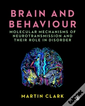 Capa do artigo Brain And Behaviour