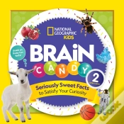 Capa do artigo Brain Candy 2