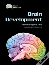 Brain Development