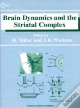 Brain Dynamics And The Striatal Complex