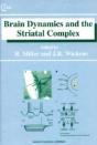 Brain Dynamics And The Striatal Complex - Preview
