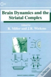 Brain Dynamics And The Striatal Complex