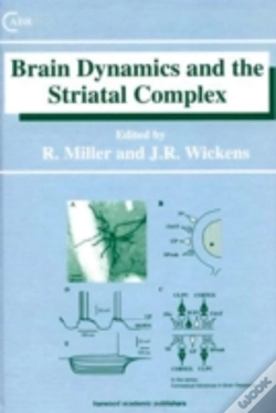 Capa do artigo Brain Dynamics And The Striatal Complex