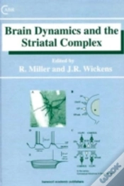 Capa do artigo Brain Dynamics And The Striatal Complex