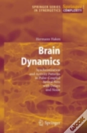 Capa do artigo Brain Dynamics