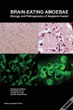 Capa do artigo Brain-Eating Amoebae