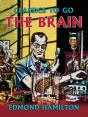 Brain - Preview