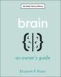 Brain - Preview