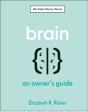 Brain - Preview