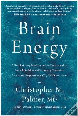 Capa do artigo Brain Energy