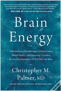 Capa do artigo Brain Energy
