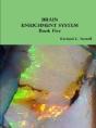 Brain Enrichment System  Book Five - Preview
