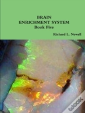 Capa do artigo Brain Enrichment System  Book Five
