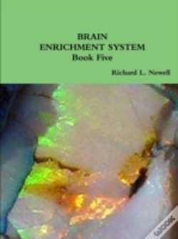 Capa do artigo Brain Enrichment System  Book Five