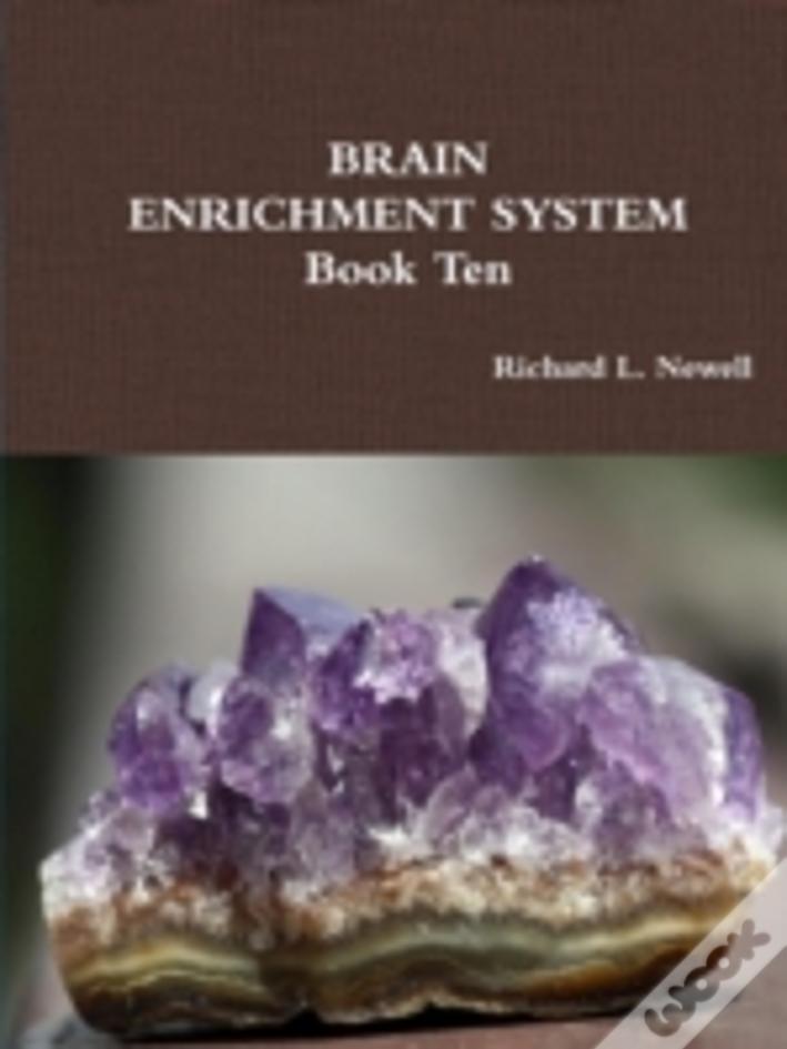 Brain Enrichment System  Book Ten