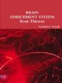 Brain Enrichment System  Book Thirteen - Preview