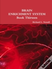 Capa do artigo Brain Enrichment System  Book Thirteen