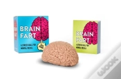 Capa do artigo Brain Fart