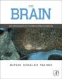 Brain - Preview