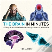 Brain In Minutes