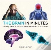 Capa do artigo Brain In Minutes