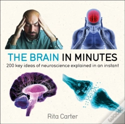 Capa do artigo Brain In Minutes