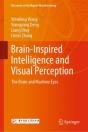 Brain-Inspired Intelligence And Visual Perception - Preview