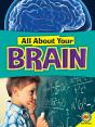 Brain - Preview