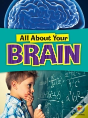 Capa do artigo Brain