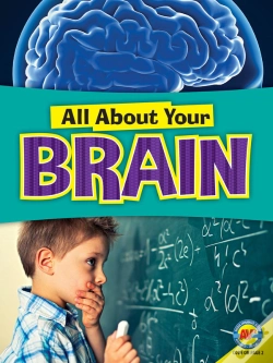 Capa do artigo Brain