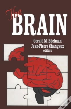 Capa do artigo Brain