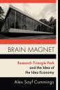 Brain Magnet - Preview