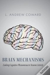 Brain Mechanisms: Linking Cognitive Phen