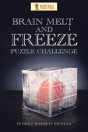 Brain Melt And Freeze Puzzle Challenge - Preview