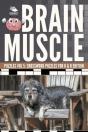 Brain Muscle Puzzles Vol 5 - Preview