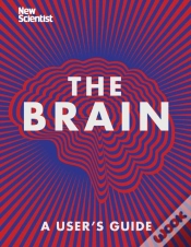 Capa do artigo Brain
