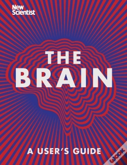 Capa do artigo Brain