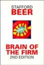 Brain Of The Firm - Preview