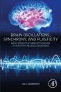 Brain Oscillations, Synchrony And Plasticity - Preview