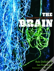 Capa do artigo Brain