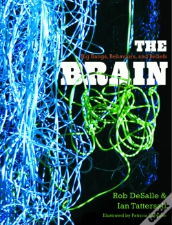 Capa do artigo Brain