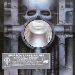 Capa do artigo Brain Salad Surgery - CD