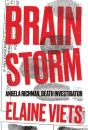 Brain Storm - Preview