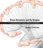 Brain Structure And Its Origins