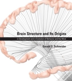 Capa do artigo Brain Structure And Its Origins