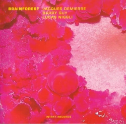 Capa do artigo Brainforest - CD