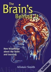 Capa do artigo Brain