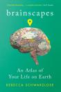 Brainscapes - Preview