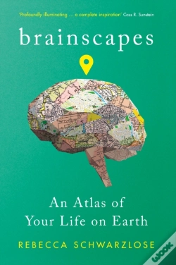 Capa do artigo Brainscapes