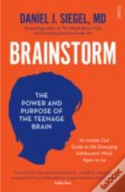 Capa do artigo Brainstorm